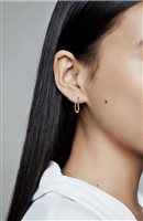 Orecchini Pandora Donna Pandora Moments in Lega metallica 288307 - 288307